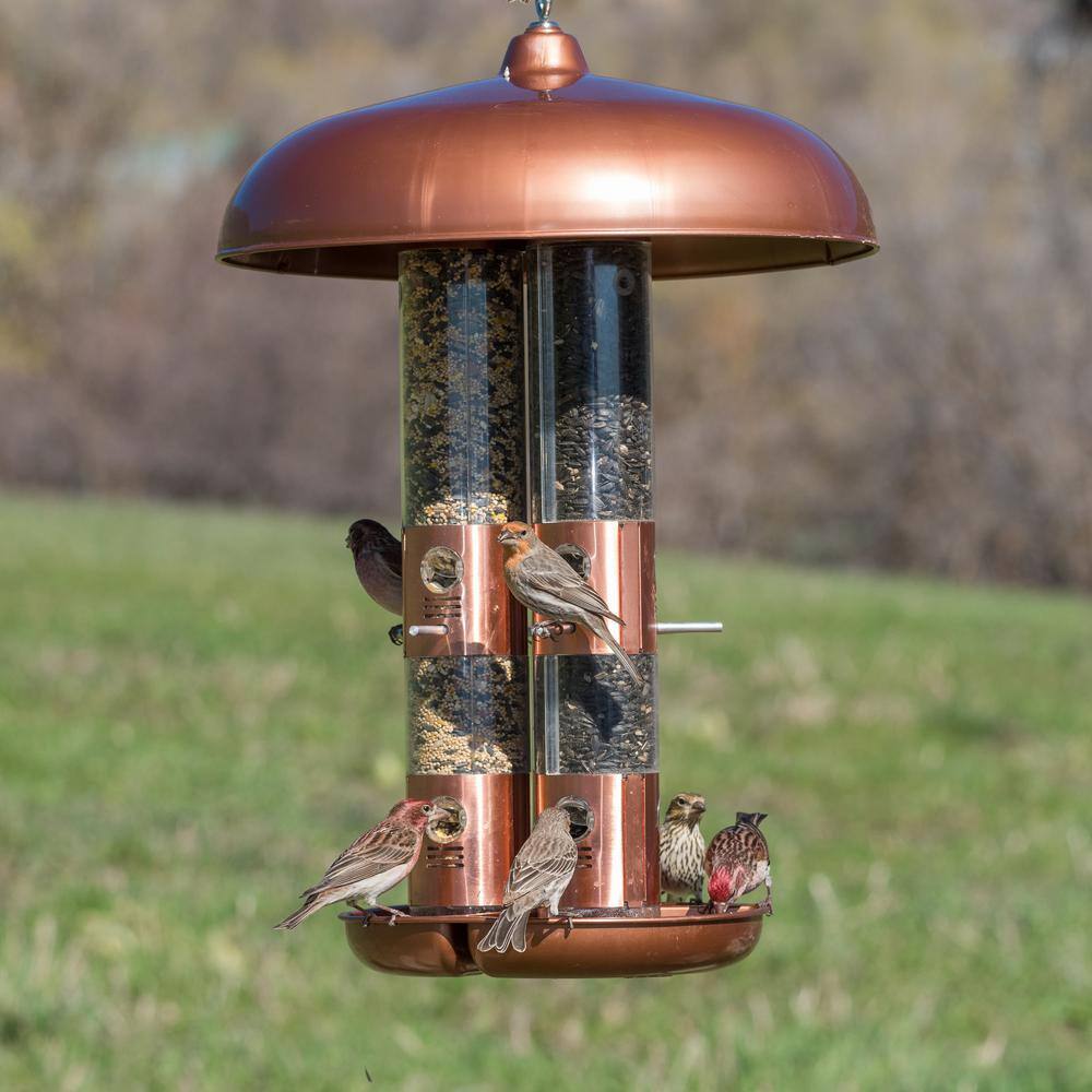 Perky-Pet CopperÂ FinishÂ Rust-Resistant Durable Triple-TubeÂ Multi-Seed Squirrel-Resistant WildÂ Bird Feeder - 10 lb. Capacity