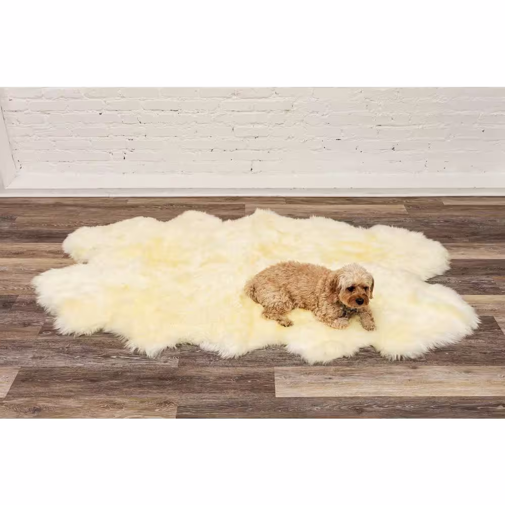 natural New Zealand Natural 4 ft. x 6 ft. Four Sheepskin Area Rug