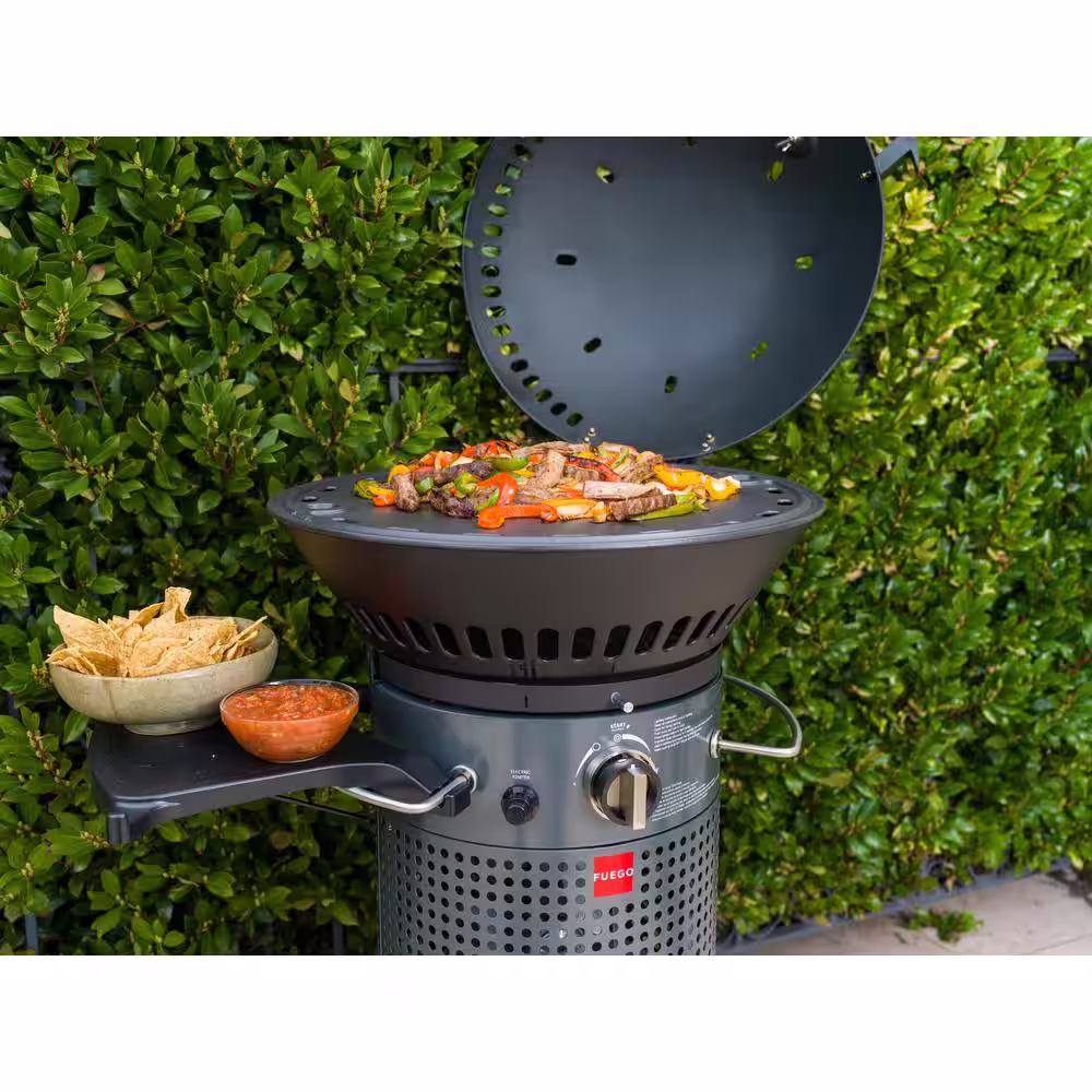 Fuego Element Hinged 2-Burner Propane Gas Grill in Gray