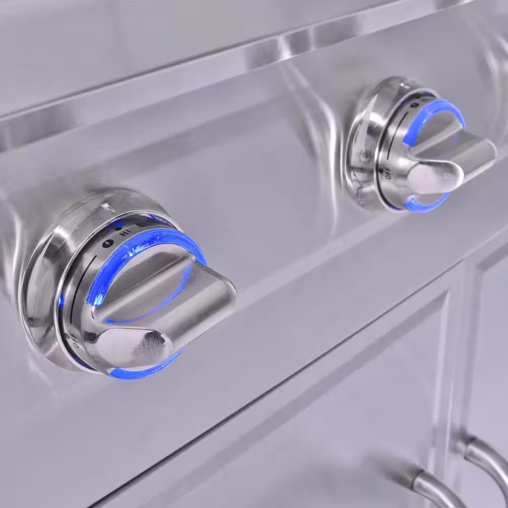 3 Embers 6 Burner Stainless Steel Dual Fuel Propane Gas Grill