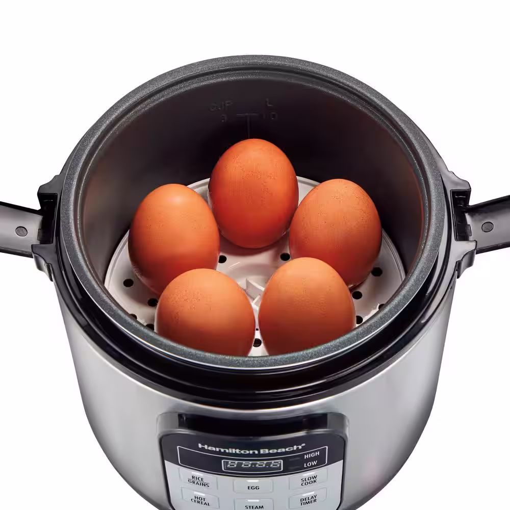 Hamilton Beach Compact 1.5 Qt. Stainless Steel Electric Multi-Cooker