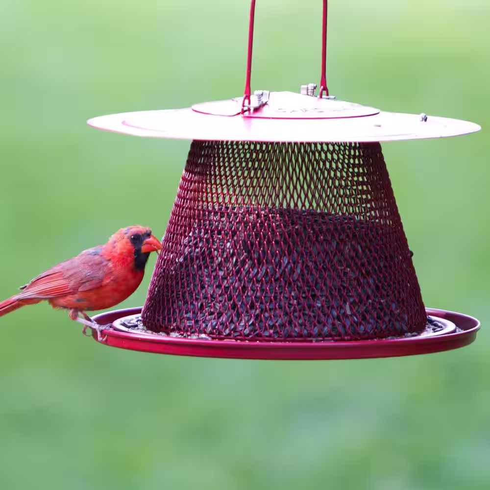Perky-Pet Red Cardinal Hanging Bird Feeder - 2.5 lb. Capacity