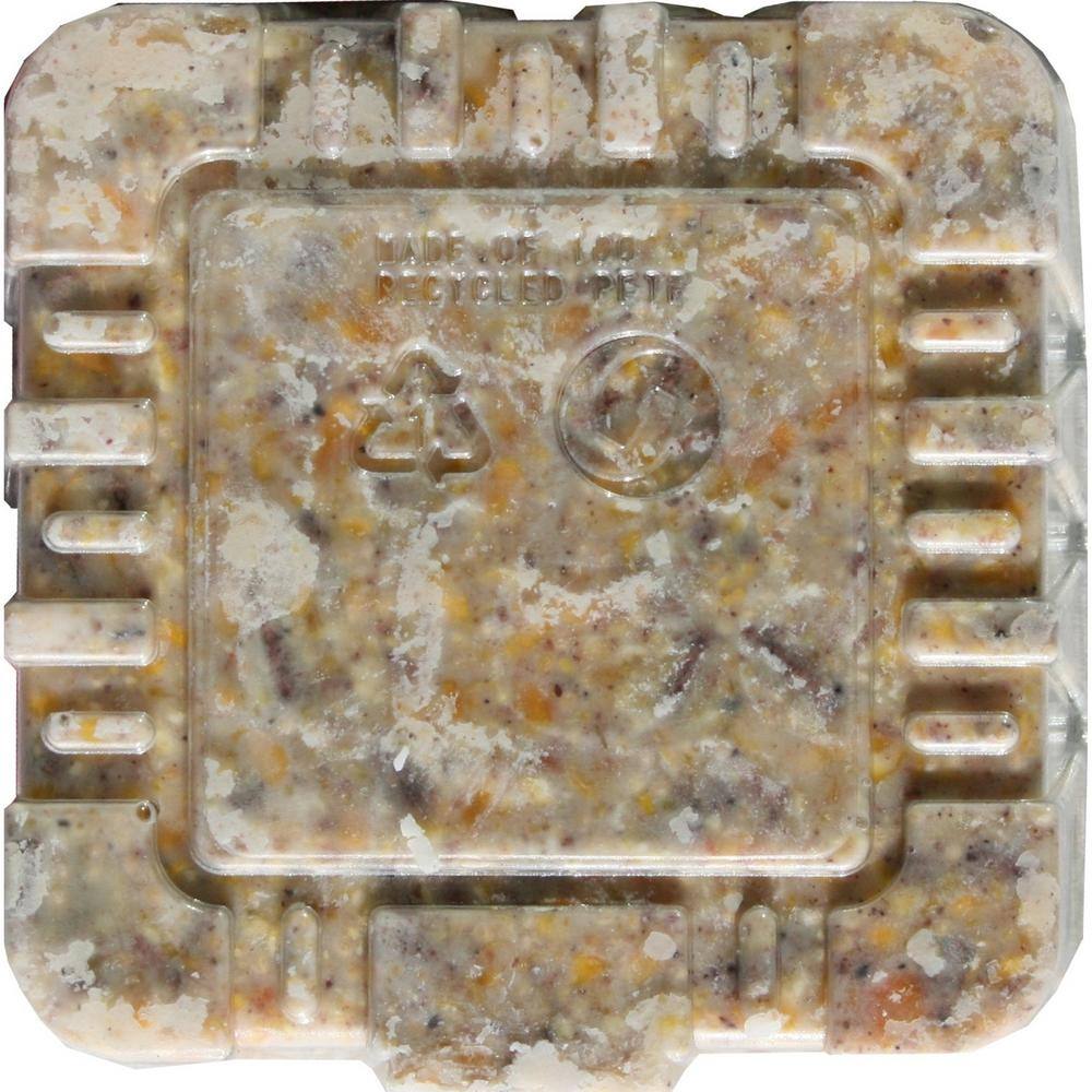 C and S Products Berry Treat 0.7 lbs. Wild Bird Suet