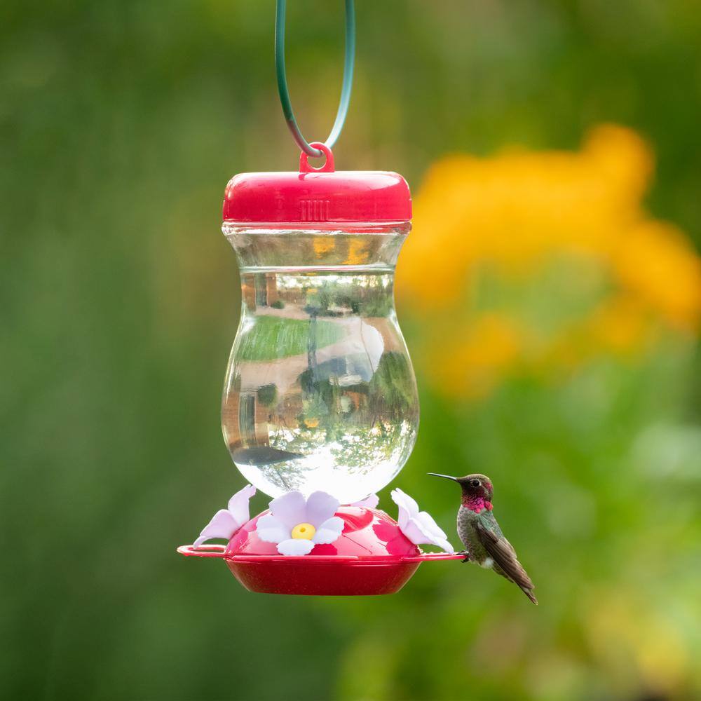 Perky-Pet Pink 24 oz. Top-Fill Glass Hummingbird Feeder