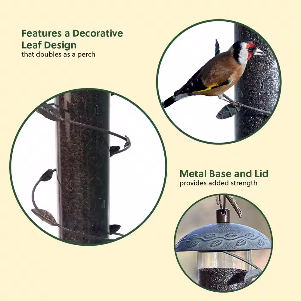 None Spiral Finch Feeder