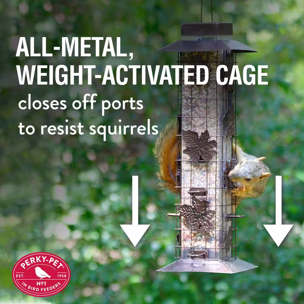 Perky-Pet Squirrel-Be-Gone Squirrel-Resistant Metal Durable WildÂ Bird Feeder - 2 lb. Capacity