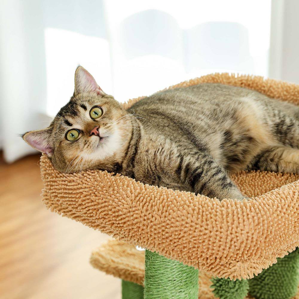 Foobrues Cactus Cat Tree Hammock Perch Condo