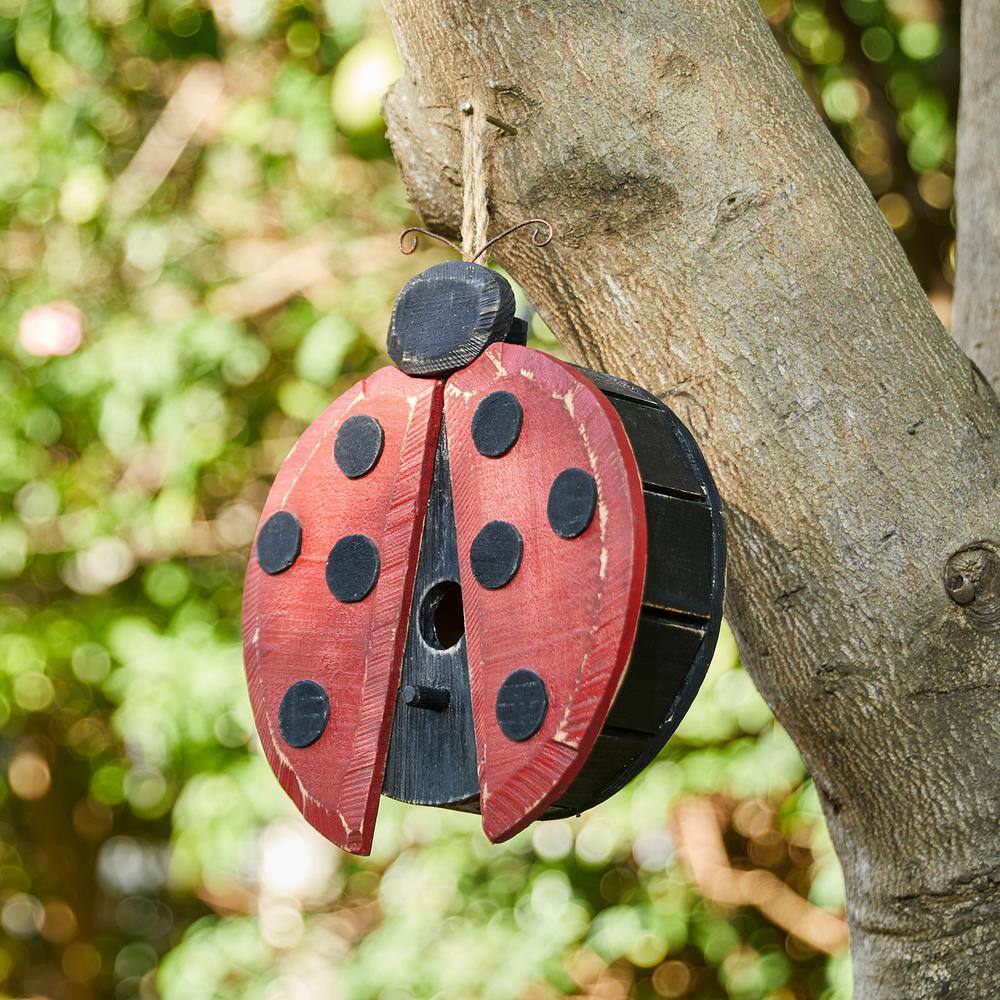Glitzhome 11.5 in. H Distressed Solid Wood Ladybug Birdhouse (KD)