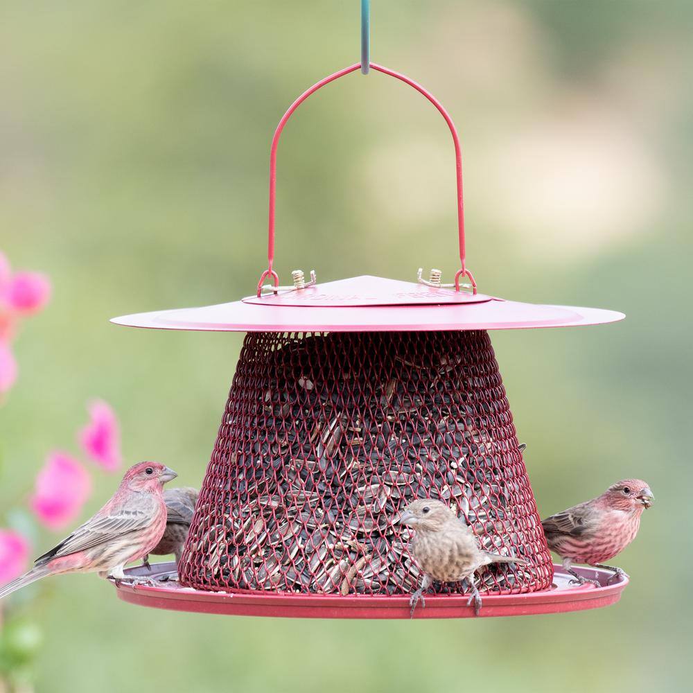 Perky-Pet Red Cardinal Hanging Bird Feeder - 2.5 lb. Capacity