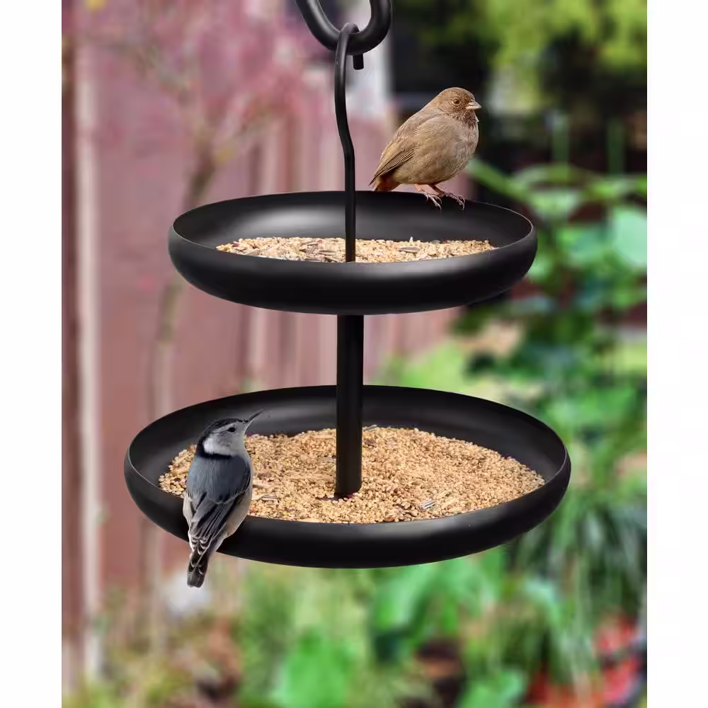 Monarch Abode 2-Tier Black Powder Coated Iron Bird Feeder