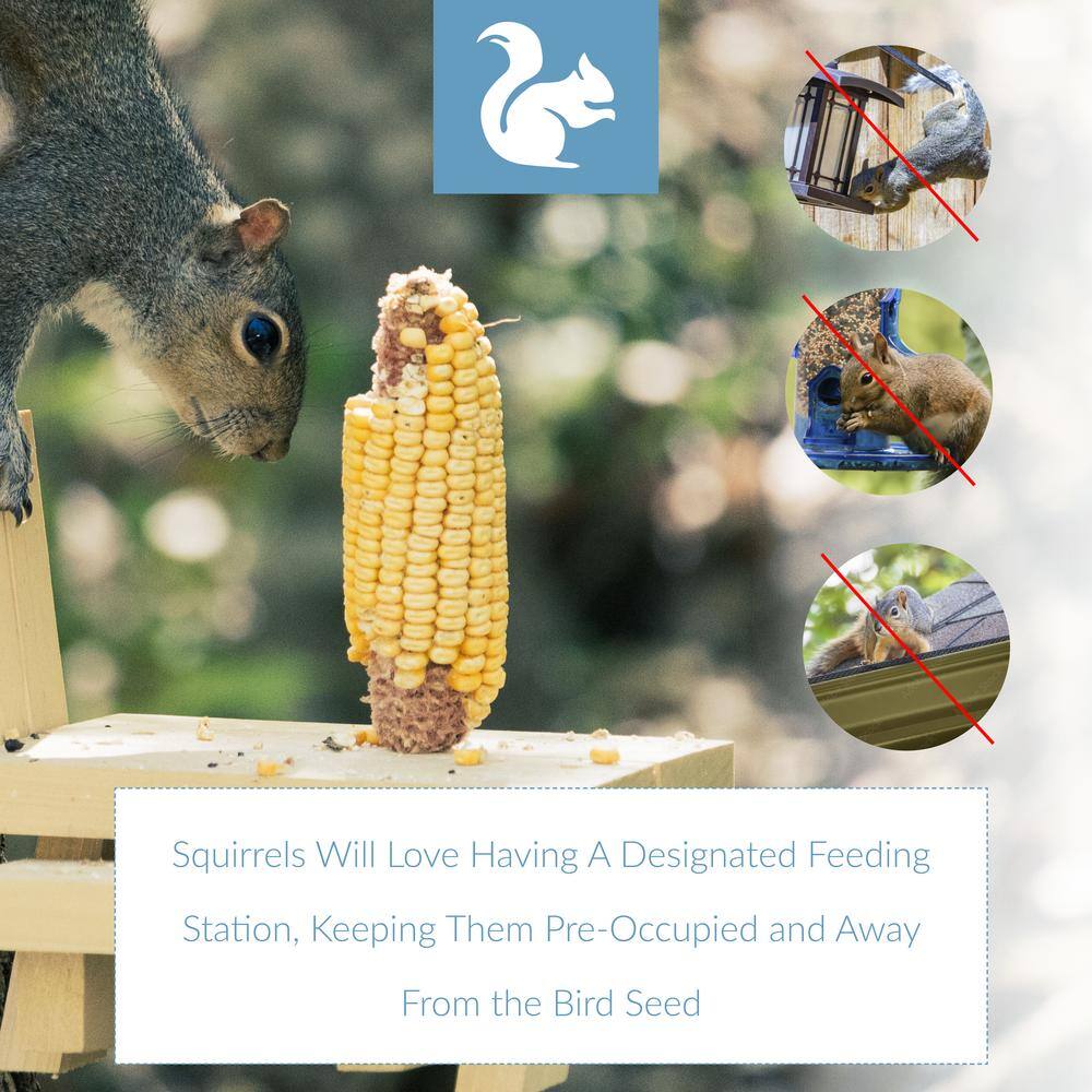 None Backyard Expressions Picnic Table Squirrel Feeder