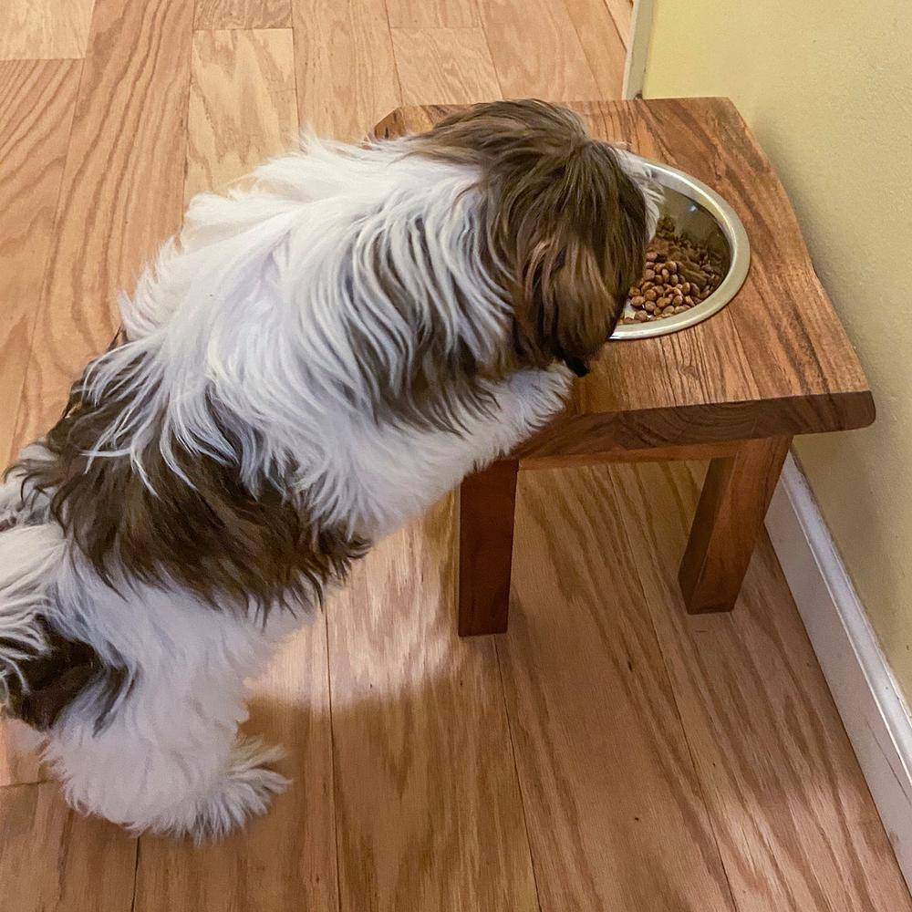 AmeriHome Acacia Wood Live Edge Single Bowl Pet Feeder