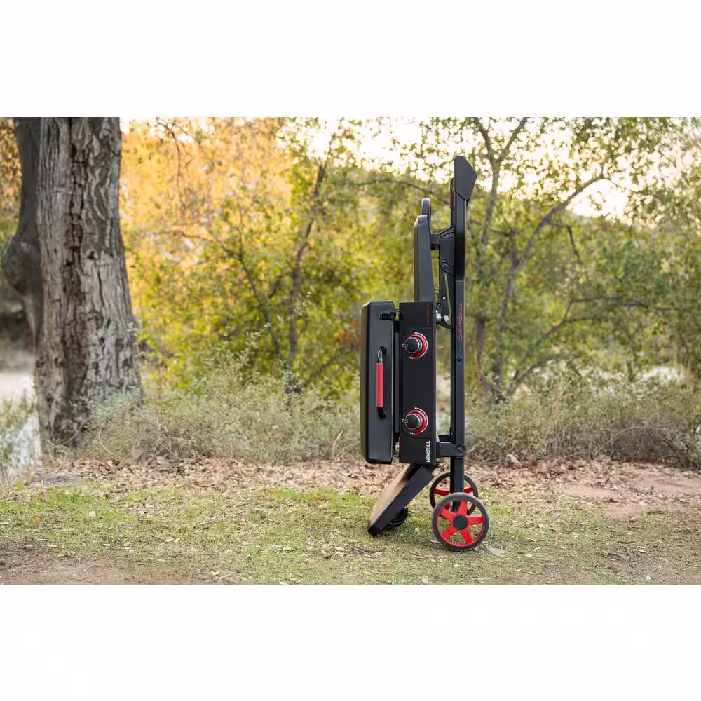 Nexgrill Daytona 2-Burner 21 in. Propane Gas Griddle with Foldable Cart in Black