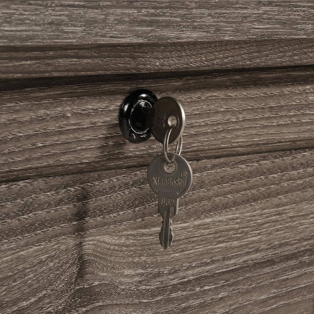 SAUDER Hammond Emery Oak Lateral File