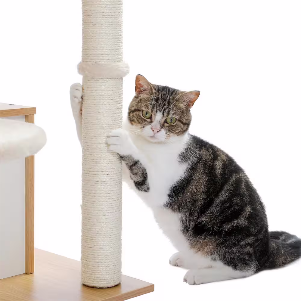 None Scratching Posts and Trees, Luxurious Cat House, Cat Tree