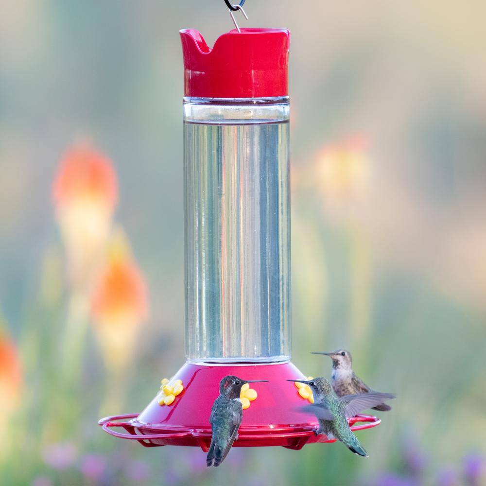 Perky-Pet Our Best Red Base Glass Hummingbird Feeder - 30 oz. Capacity