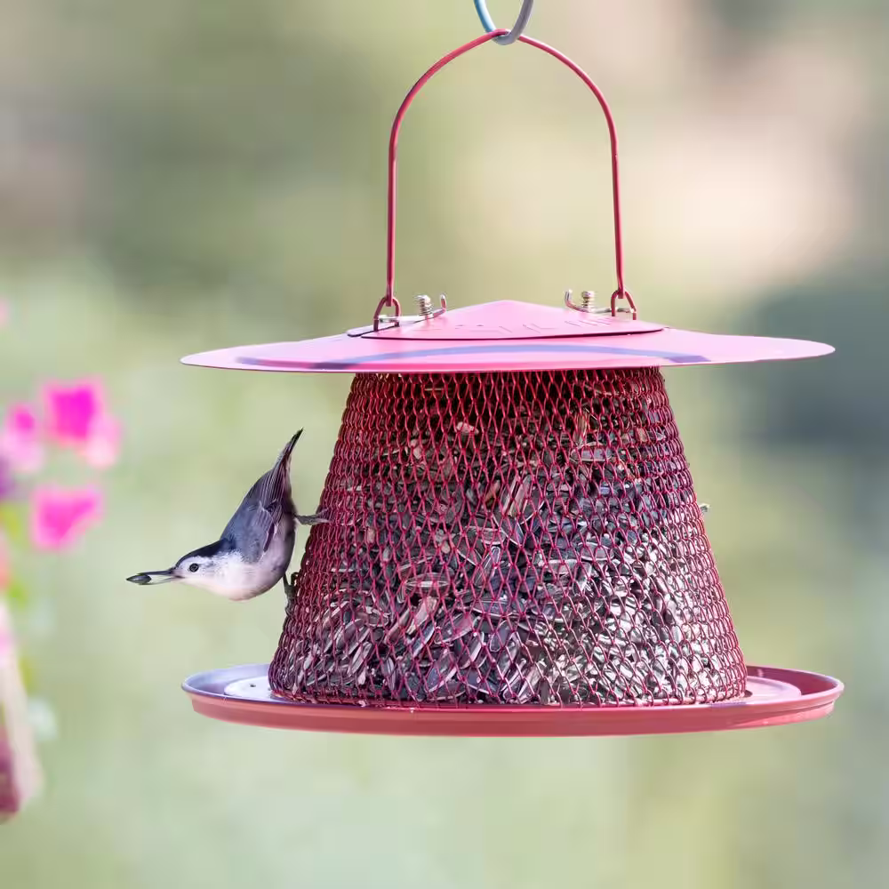 Perky-Pet Red Cardinal Hanging Bird Feeder - 2.5 lb. Capacity