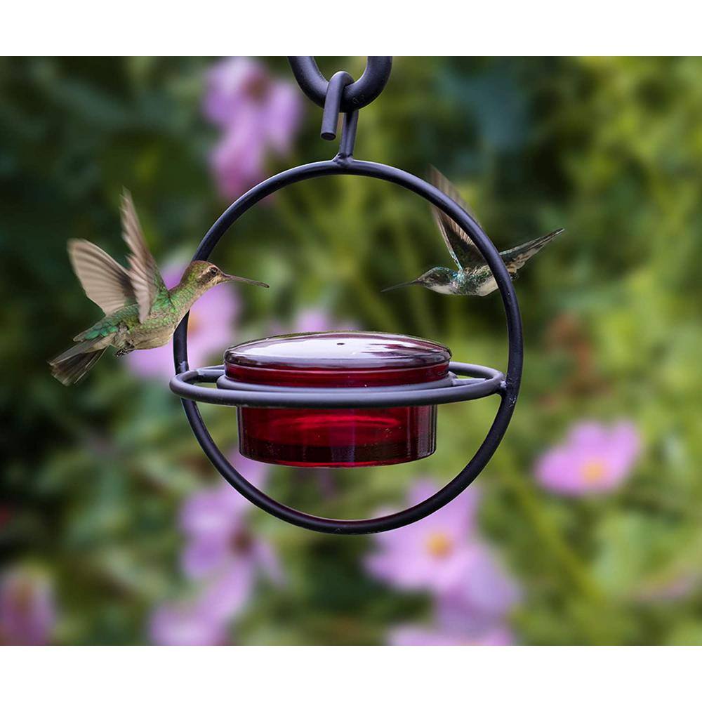 Monarch Abode Monarch Circular Hummingbird Feeder (Red Glass Feeder) with Perch