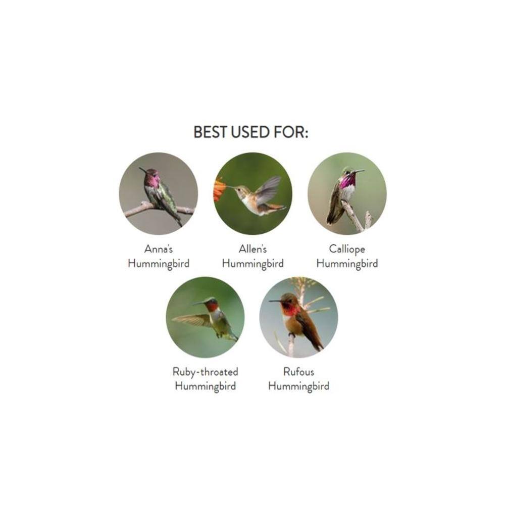 Perky-Pet Elegant Copper Hummingbird Feeder Kit