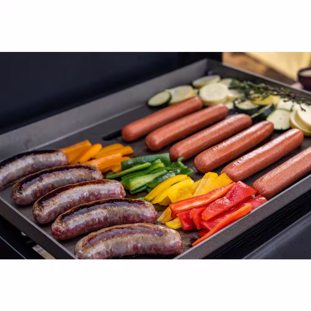 Nexgrill Daytona 2-Burner 21 in. Propane Gas Griddle with Foldable Cart in Black