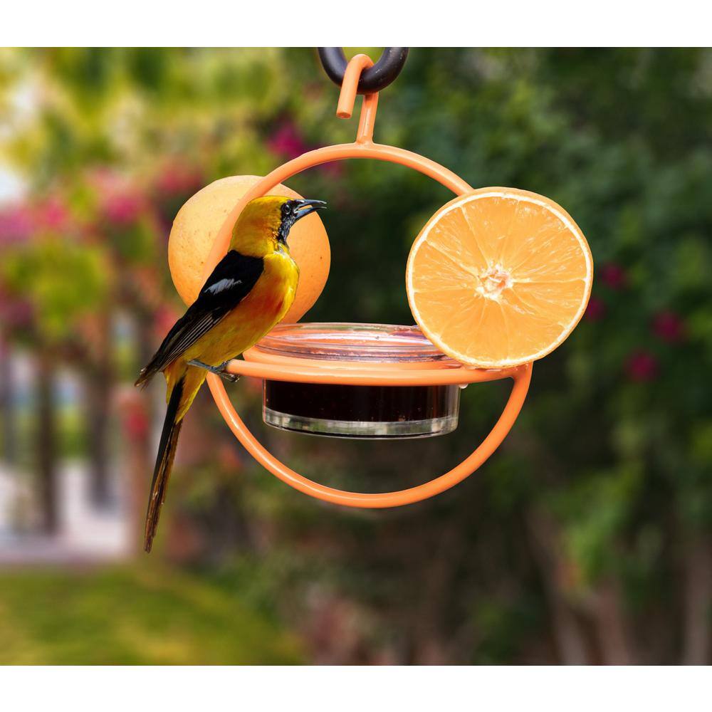 Monarch Abode Iron Oriole Orange Bird Feeder with Clear Glass Bowl