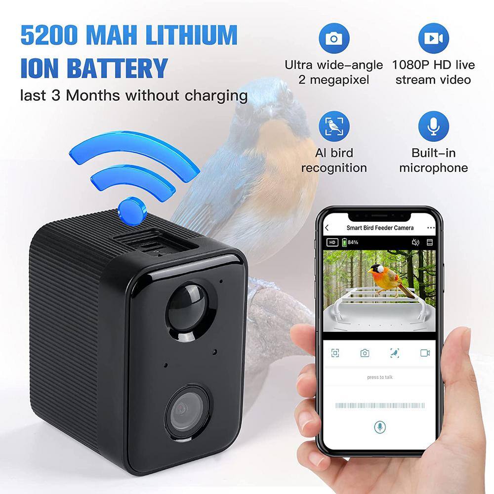 None Smart Bird Feeder with Solar Roof, 1080P HD Camera, AI Identify Bird Species, Wi-Fi Connection (Include 16G SD Card)