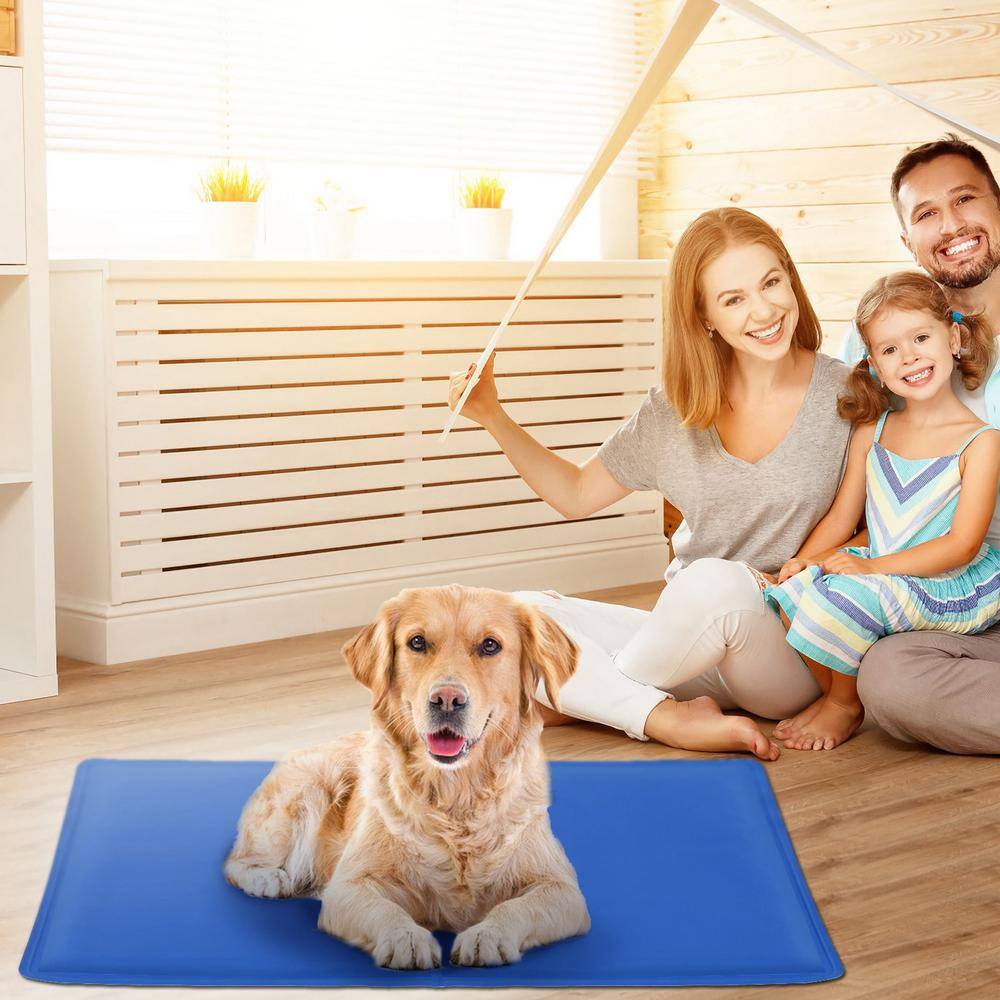 None Large Blue Pet Dog Cooling Bed
