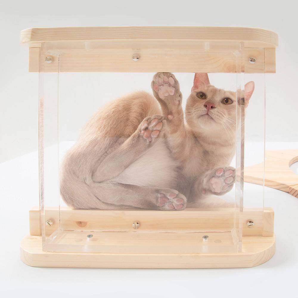 AndMakers MYZOO MOKU Cloud-Shaped Wall Mounted Cat Shelves Solid Wood with Acrylic Plate Furniture Cover