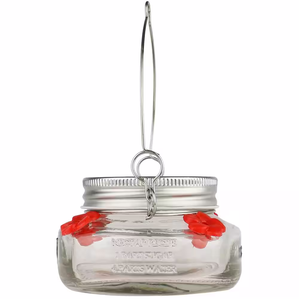 Wild Wings Mason Jar Glass Hummingbird Feeder