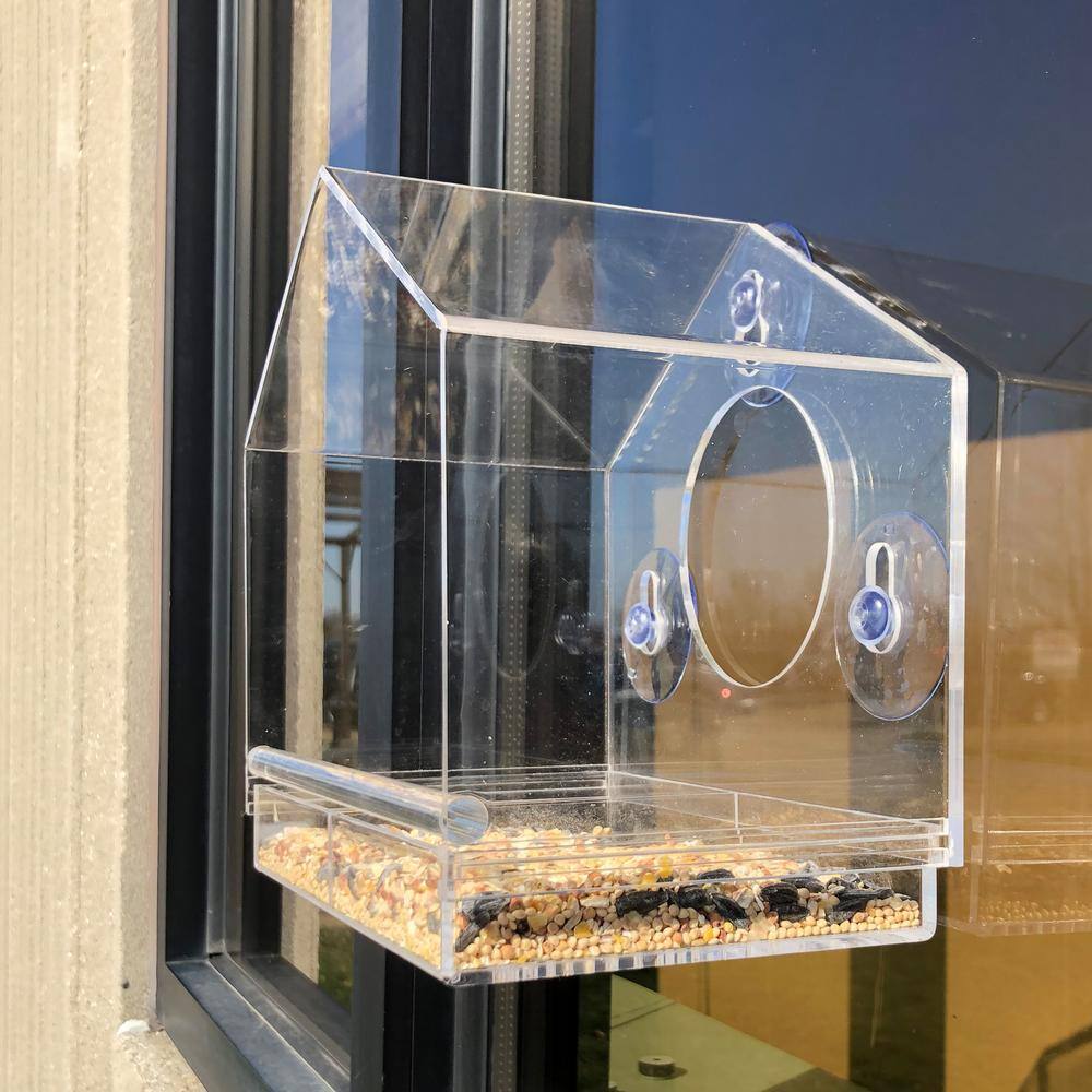 None Clear Plastic Window Bird Feeder with Powerful Suction