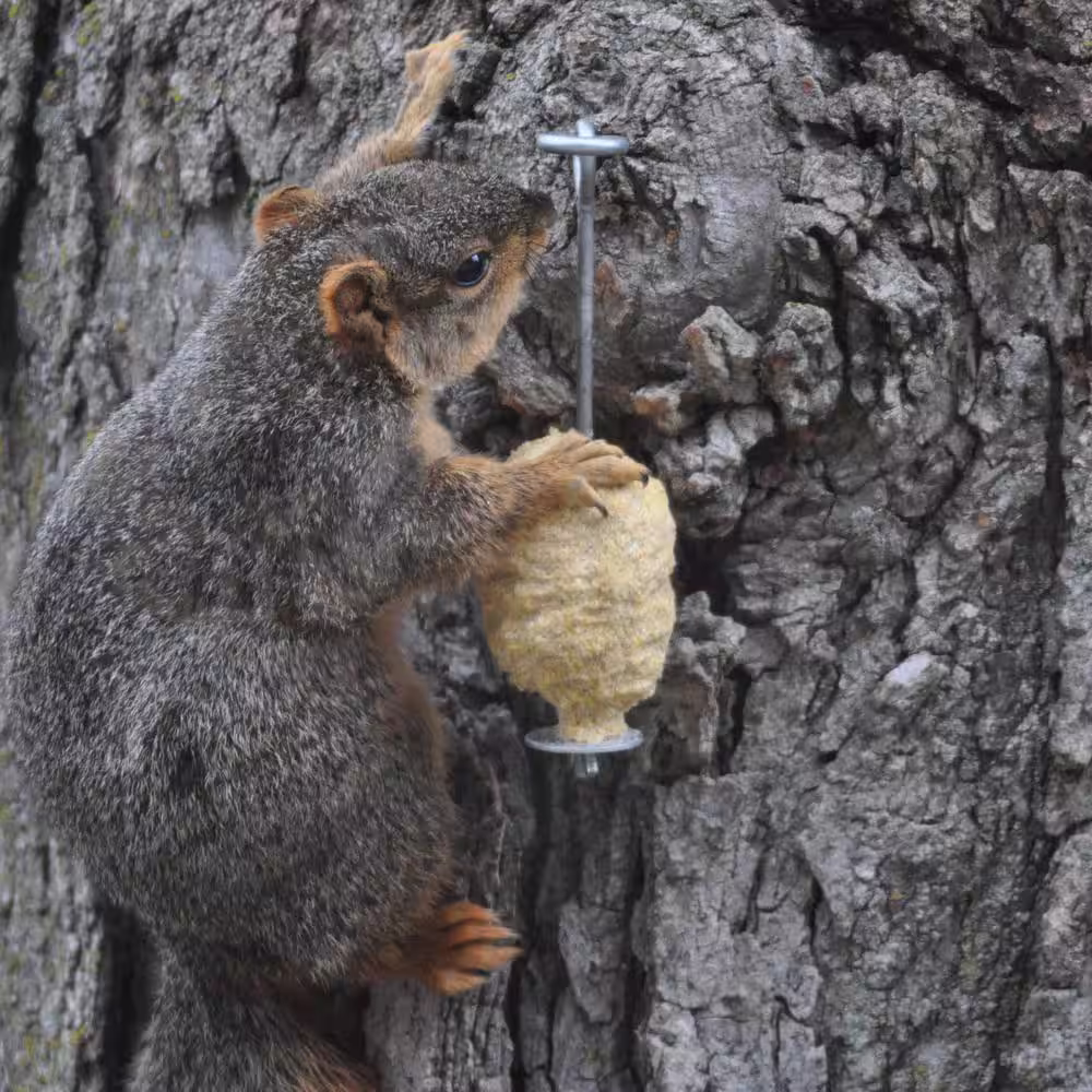 C and S Products Squirrel Log with Stoop