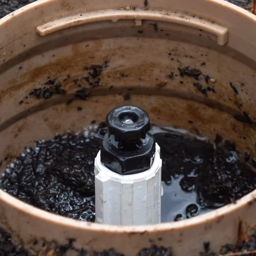 DIG 1/2 in. MPT Air Vacuum Relief Valve (Pack of 2)