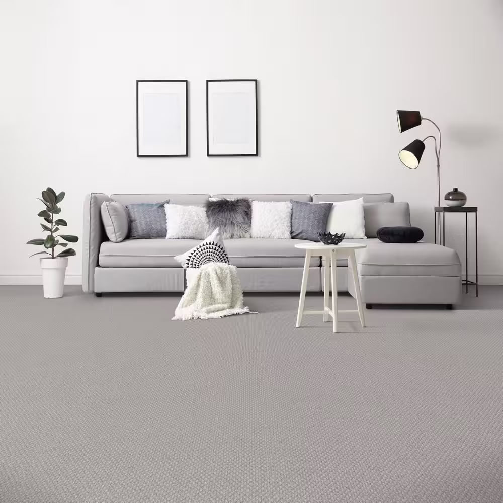 Home Decorators Collection Dark Paradise  - Skybar - Beige 25 oz. SD Polyester Loop Installed Carpet