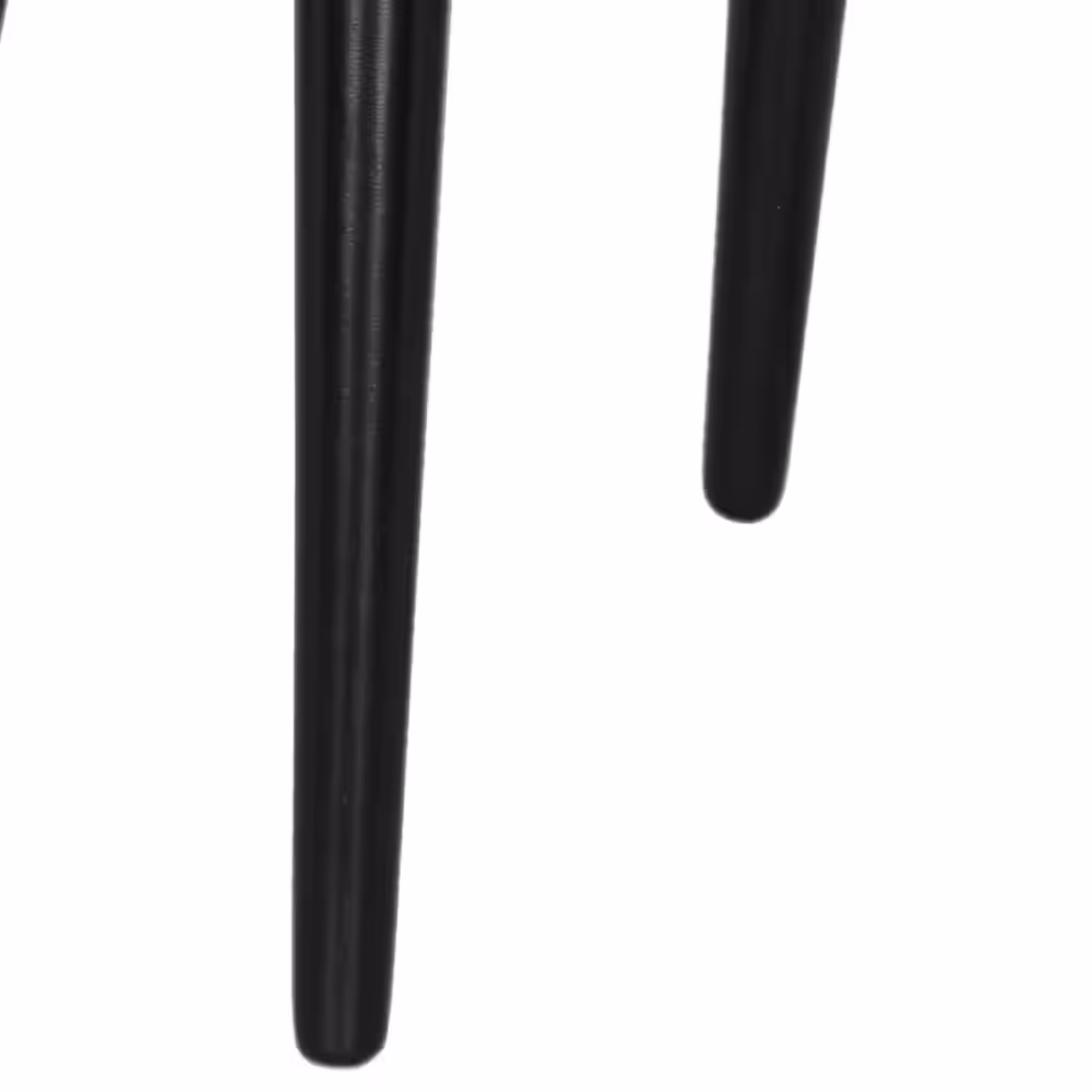 SAFAVIEH Blanchard Black Wood Dining Chair (Set of 2)