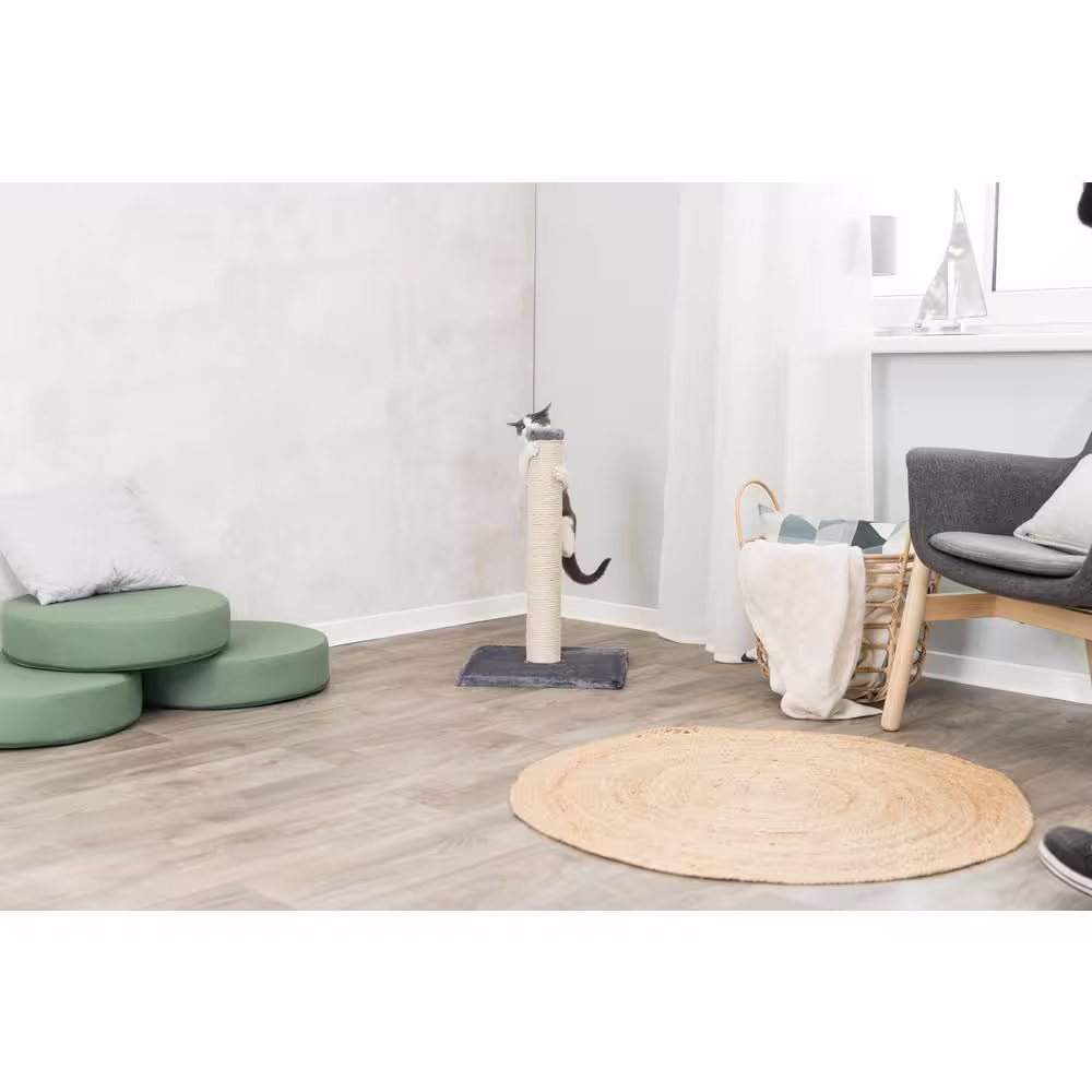 TRIXIE Parla Scratching Post, Dark Gray