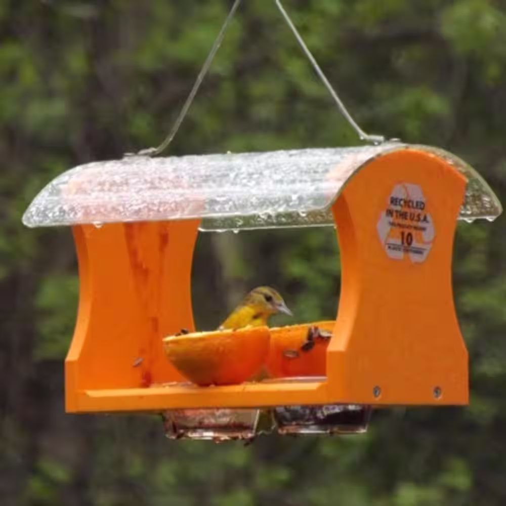 BIRDS choice Recycled Oriole Feeder