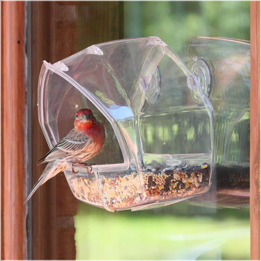 Perky-Pet Clear Window Mount Bird Feeder - 1 Cup Capacity