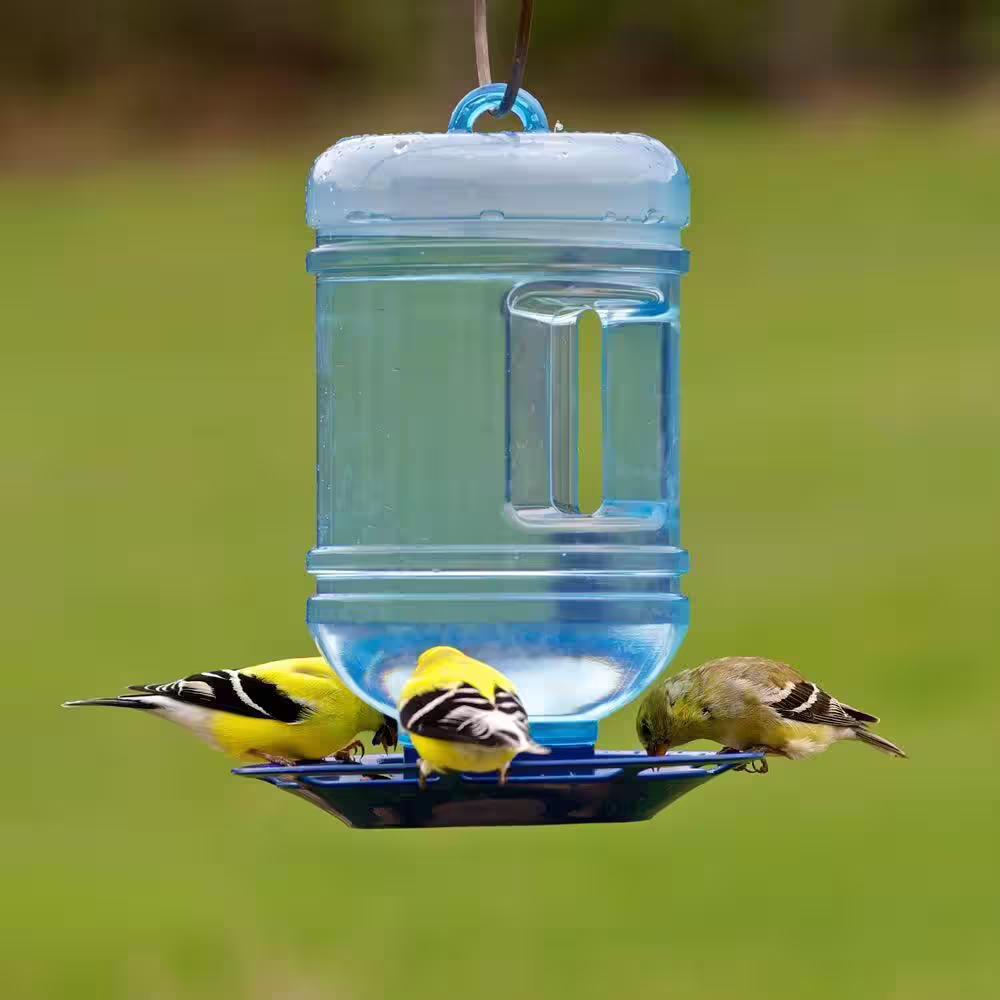 Perky-Pet Water Cooler Hanging Bird Waterer - 48 oz. Capacity