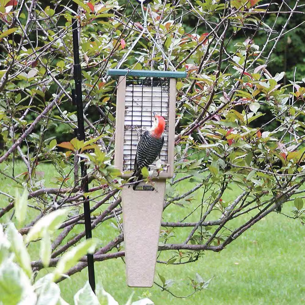 BIRDS choice Recycled Double Cake Pileated Suet Feeder