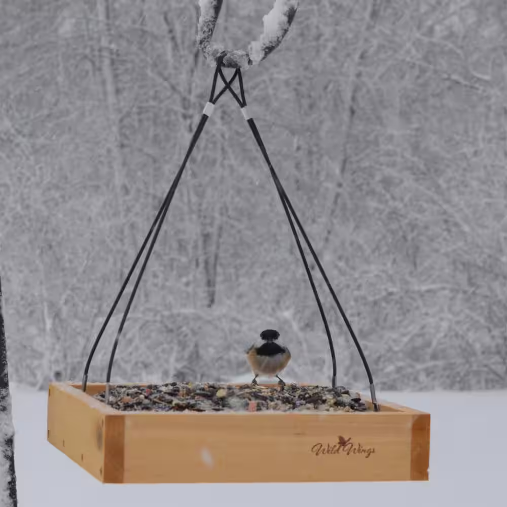 Nature's Way Bird Products Cedar Tray Wild Bird Feeder