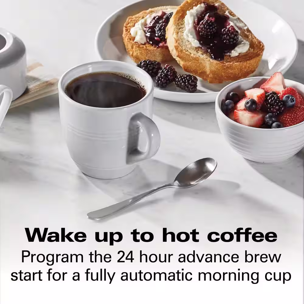 HAMILTON BEACH PROFESSIONAL 12-Cup Silver Programmable Drip Coffee Maker