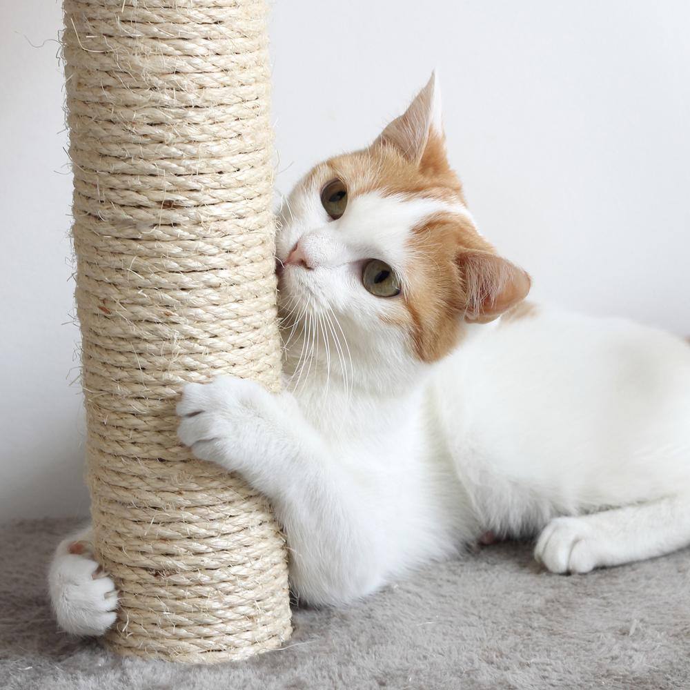 Pet Trex Cat Tree Condo with Tunnel 4 tier