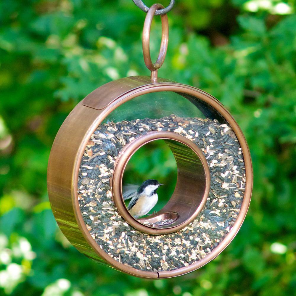 Good Directions Just in Time Fly-Thru Copper Bird Feeder