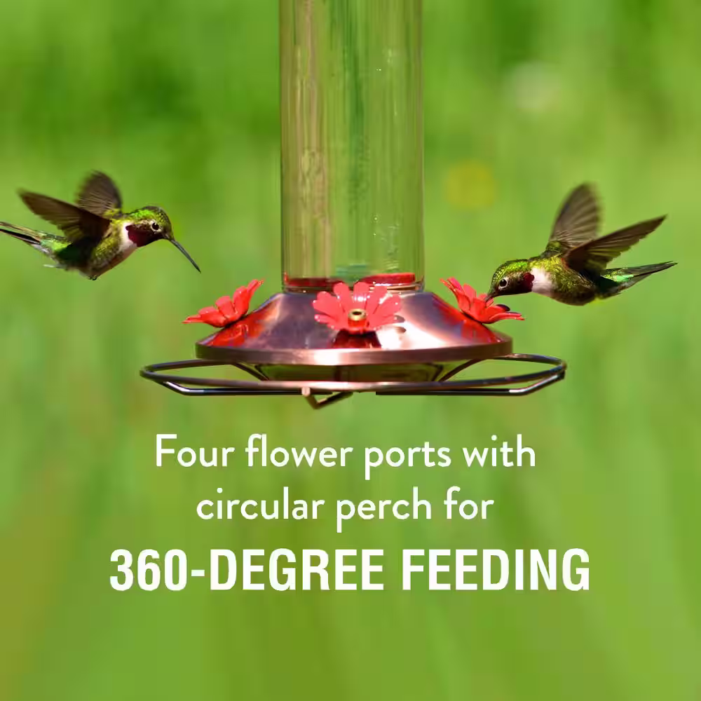 Perky-Pet Elegant Glass Copper Bee-Resistant Garden Hummingbird Feeder - 12 oz. Capacity