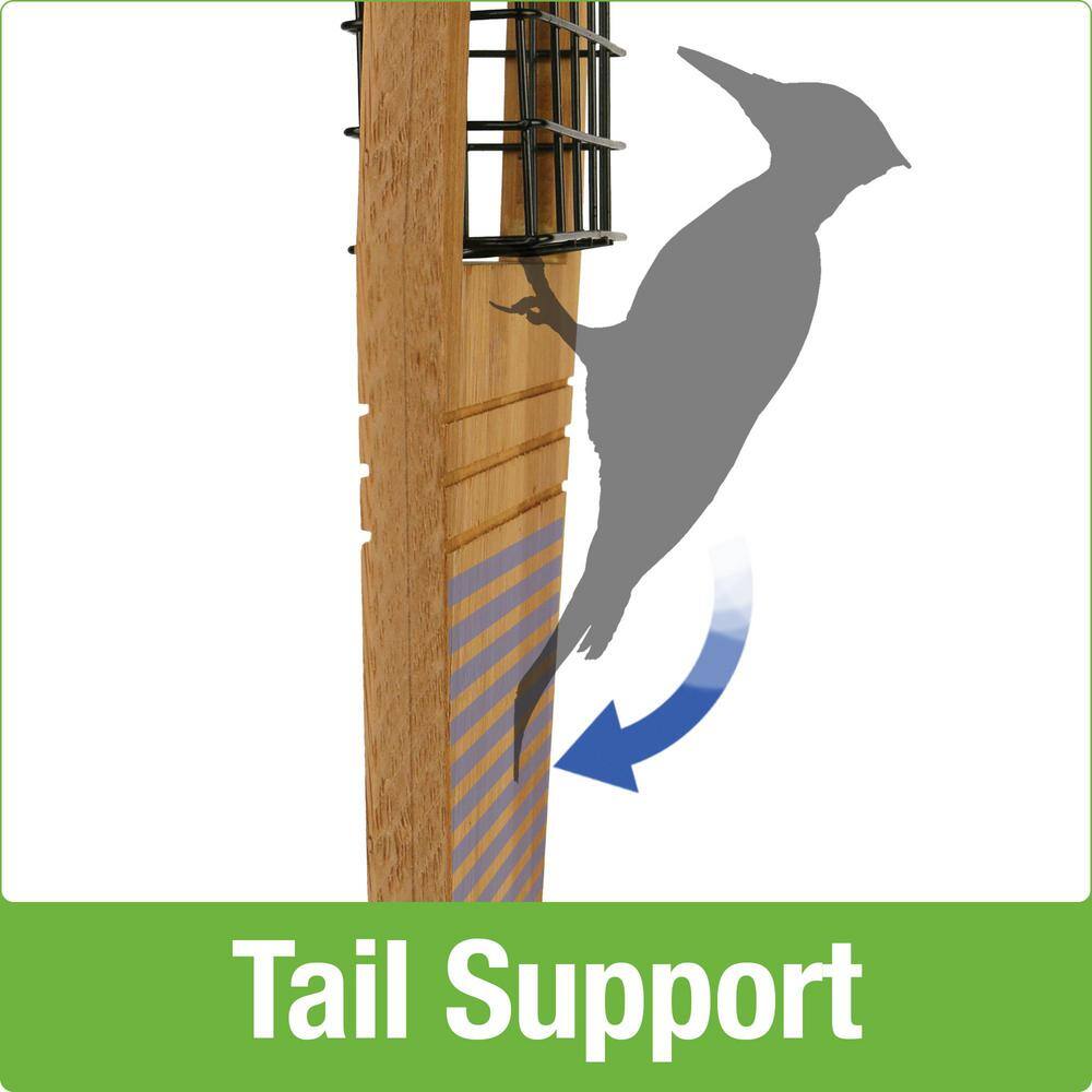 Nature's Way Bamboo Suet Tail Prop Bird Feeder