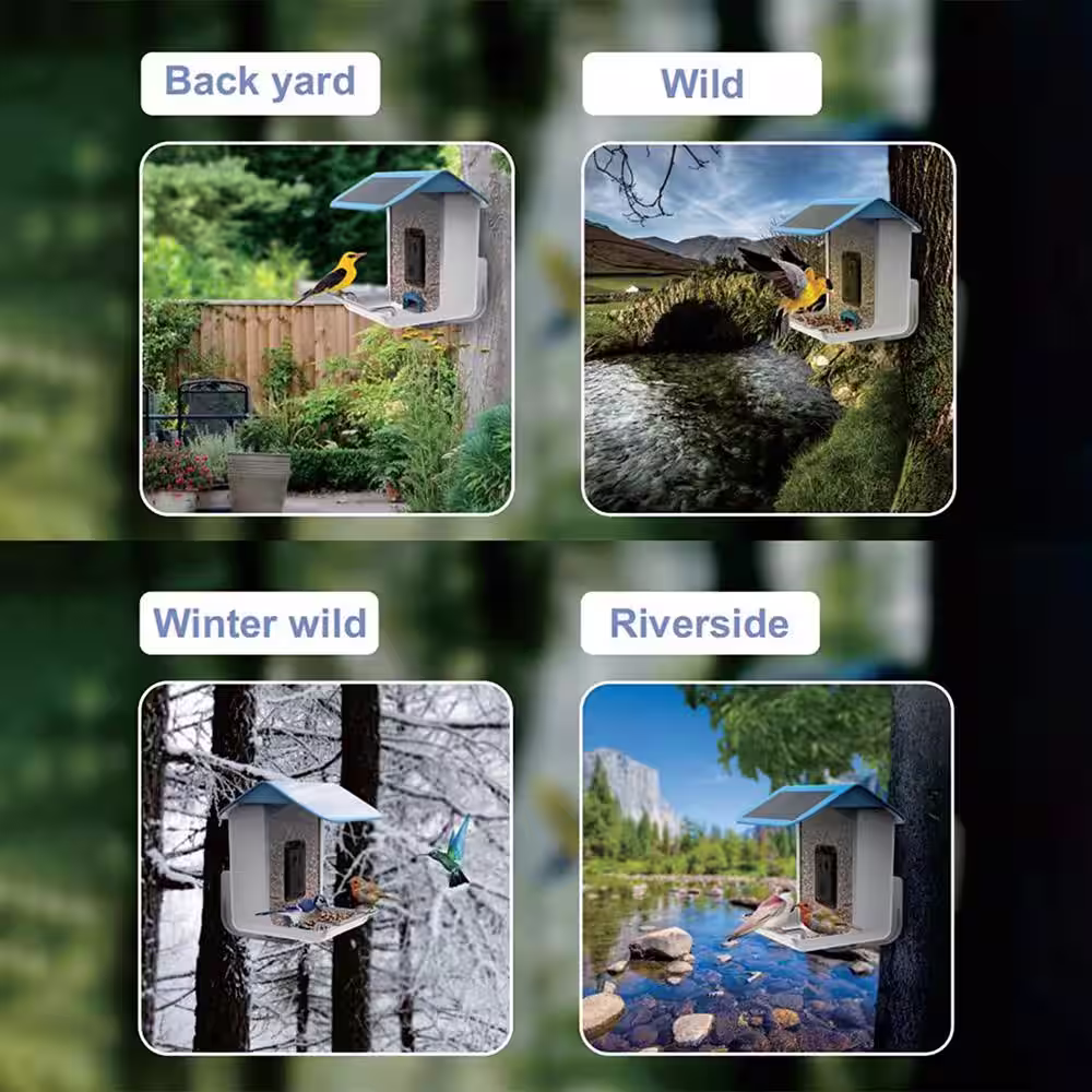 None Smart Bird Feeder with Solar Roof, 1080P HD Camera, AI Identify Bird Species, Wi-Fi Connection (Include 16G SD Card)