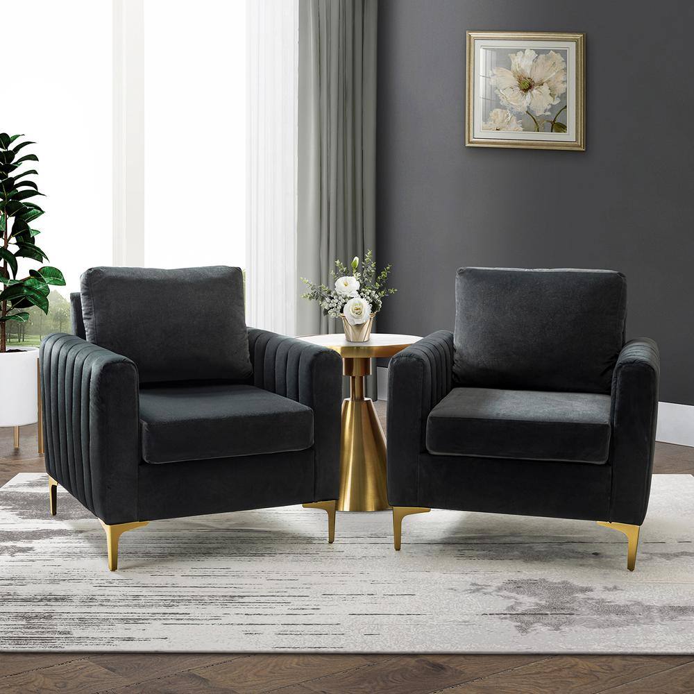 JAYDEN CREATION Ennomus Modern Black Velvet Cushion Back Club Chair with Golden Metal Legs and Track Arms (Set of 2)