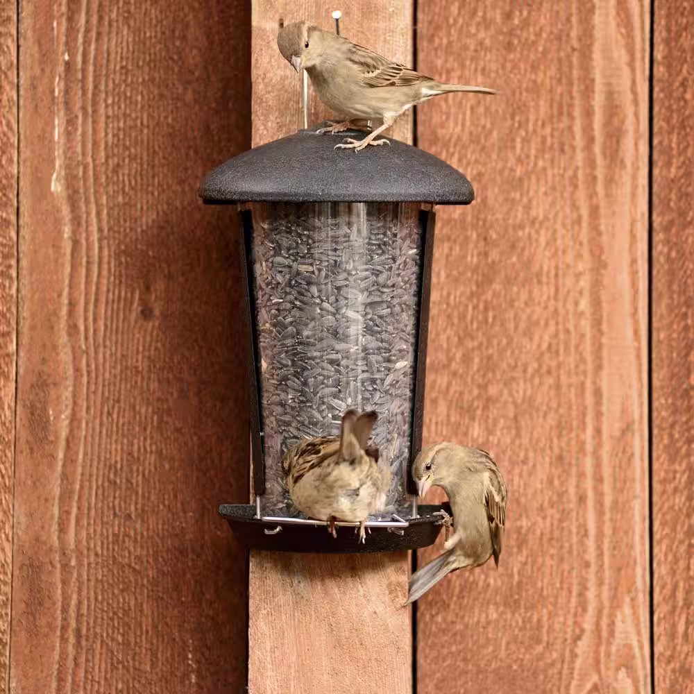 Perky-Pet Wall and Post Mount Bird Feeder - 1.1 lb. Capacity