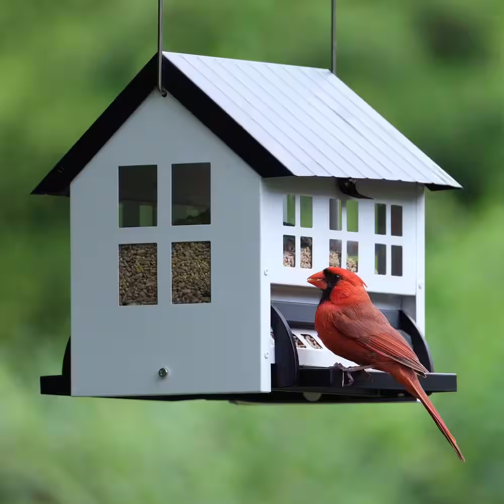 None Choice White Metal Hopper Bird Feeder