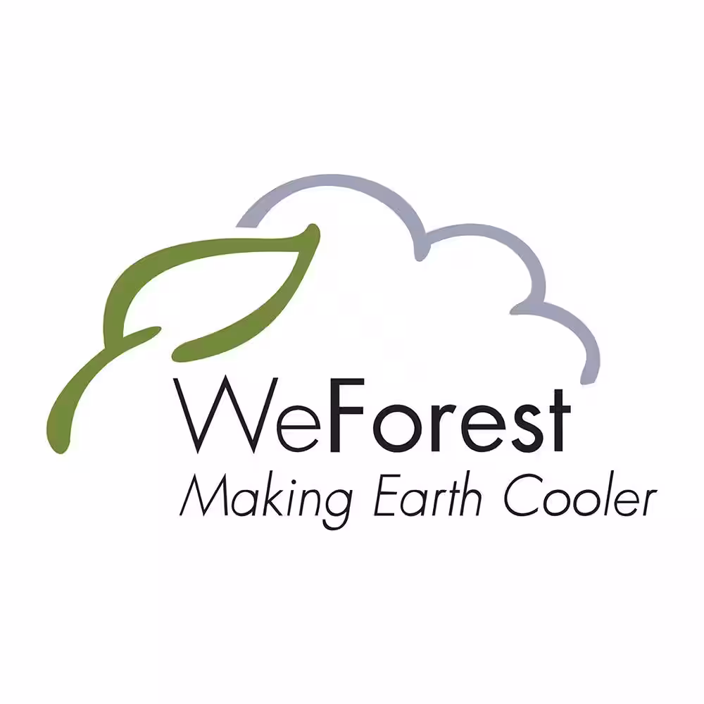 Brabantia Wallfix 72.5 in. x 72.5 in. Steel Retractable Indoor or Outdoor Clothesline Wall Mounted with Protective Storage Box